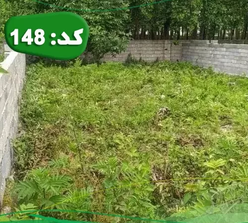 محوطه سرسبز و بلوک کشی شده زمین در سوادکوه 5441548