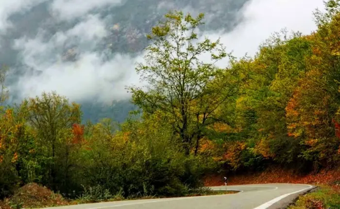 جاده زیبای منطقه دیدنی آلاشت و همراهی درختان پاییزی 654684