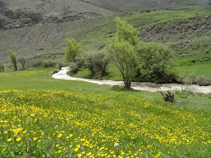 روستای یوش، یکی از جاهای دیدنی مازندران 49874865