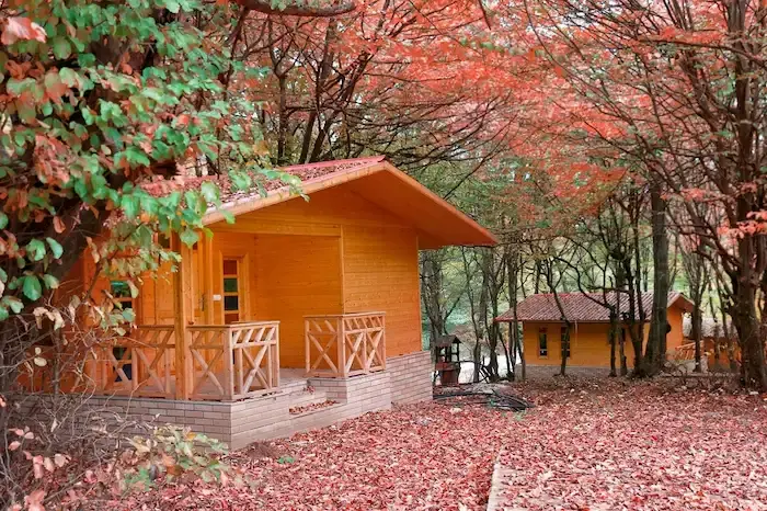 کلبه های چوبی مکانی برای اقامت در پارک تلار در فصل پاییز 4156441