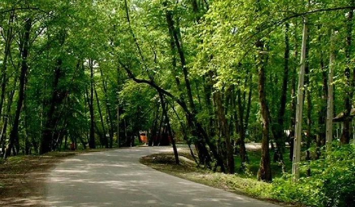 پارک های جنگلی زیبا در استان مازندران 8763434543