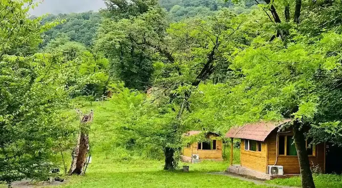 کلبه های جنگلی در میان جنگل های سرسبز روستای جوارم 485748