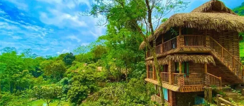 نمای بیرونی ویلا ویلا جنگلی با نمای چوبی در دل جنگل های سرسبز در مازندران 3764735285