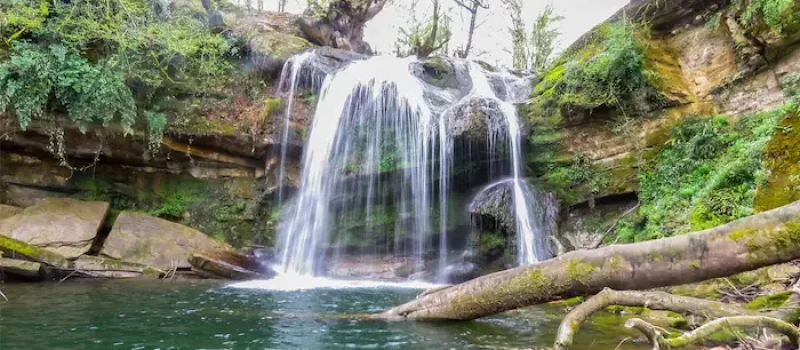 آبشار هفت تیرکن خروشان در دل جنگل لفور 48573678